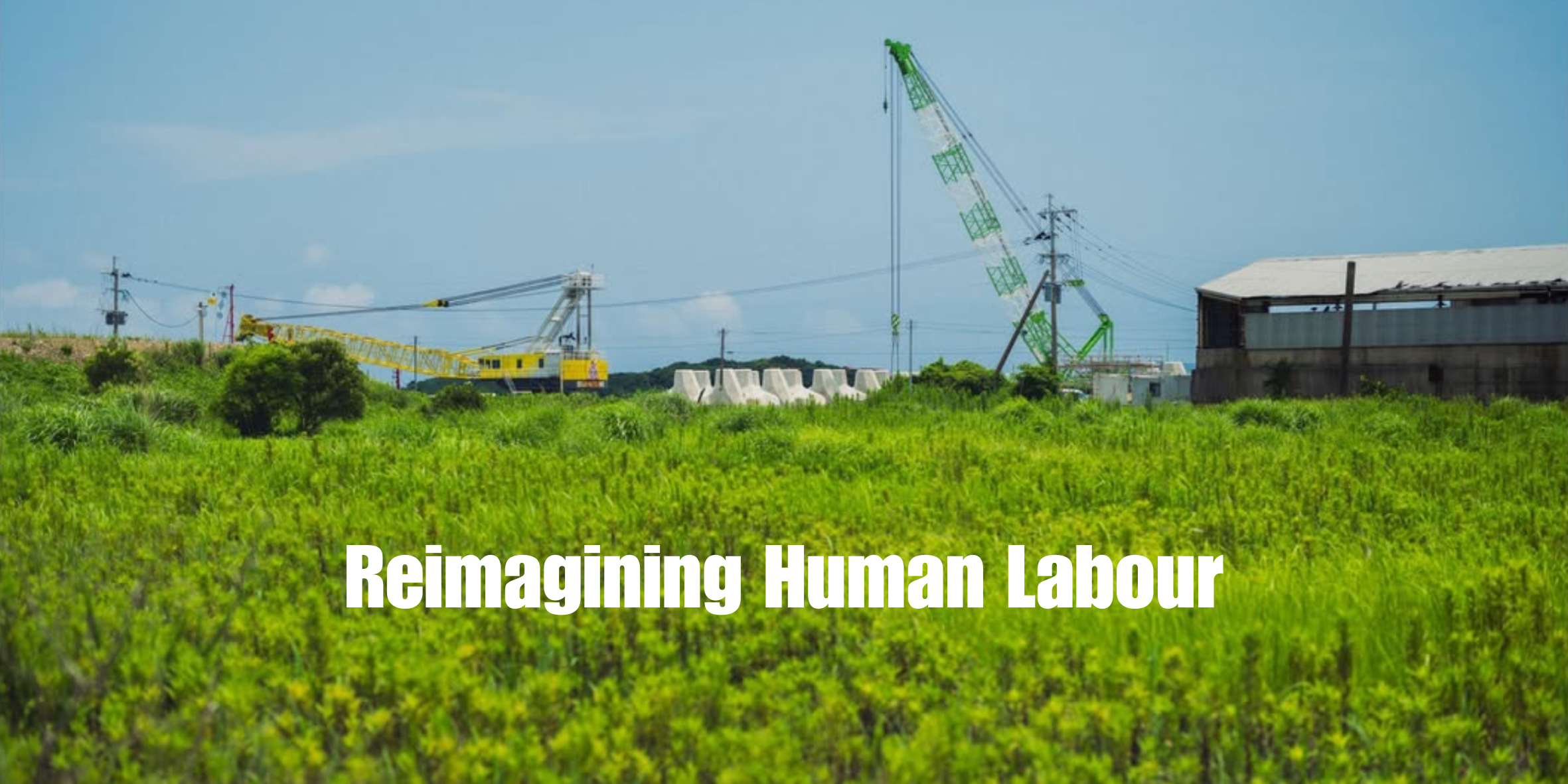 Reimagining Human Labour: Prof. Edwin Michielsen’s Pioneering Research